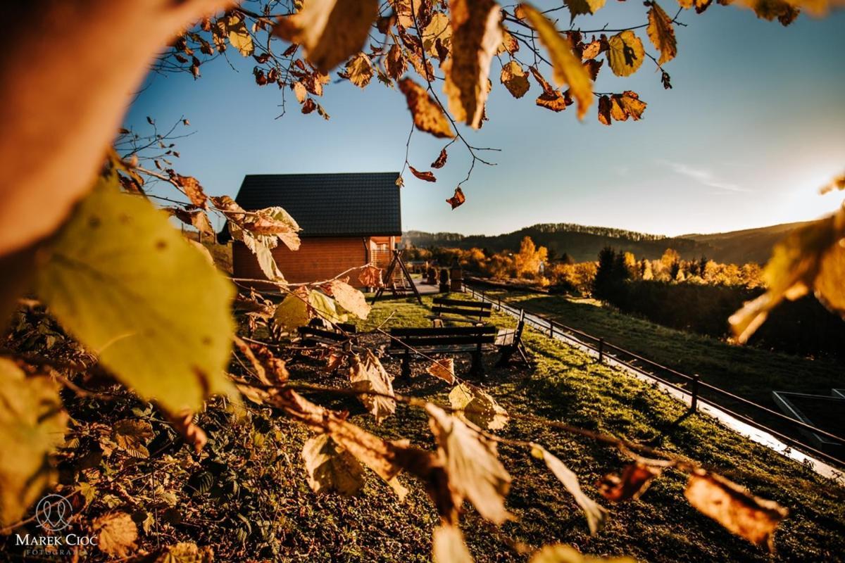 Chaty Na Cholewicy Domki Caloroczne Solina  Exterior foto
