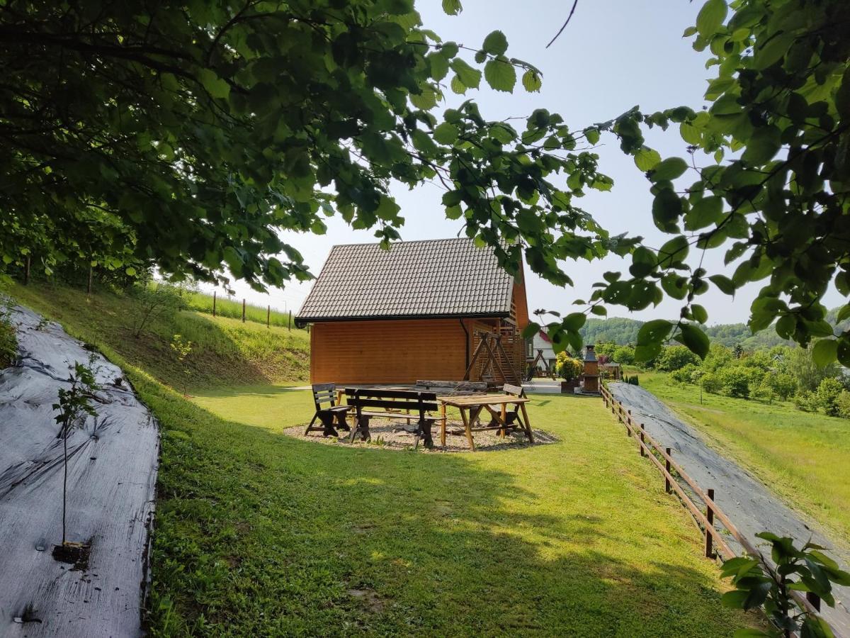 Chaty Na Cholewicy Domki Caloroczne Solina  Exterior foto